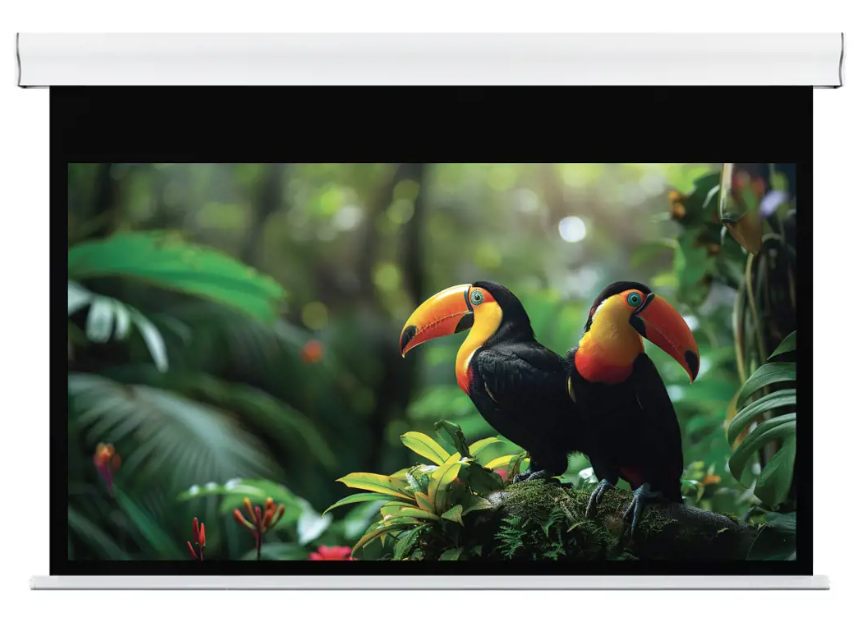 SCREENLINE Wave Line | Wave [170 a 430cm] 